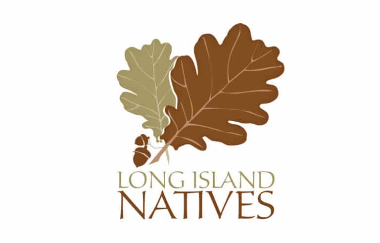 li-native-logo