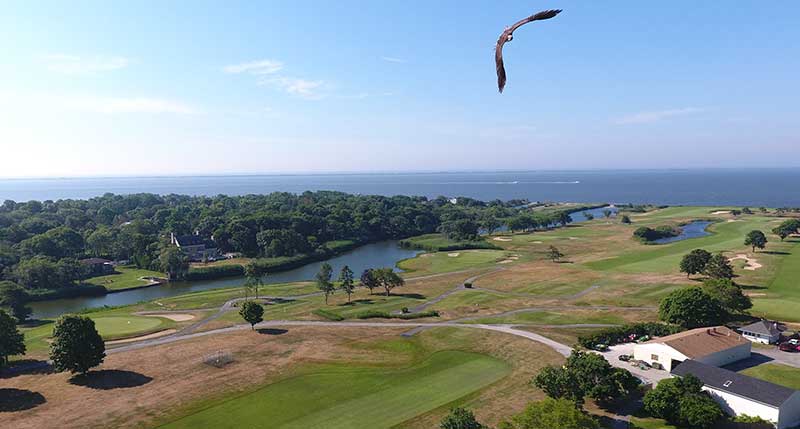 Aerial photo of golf course with osprey