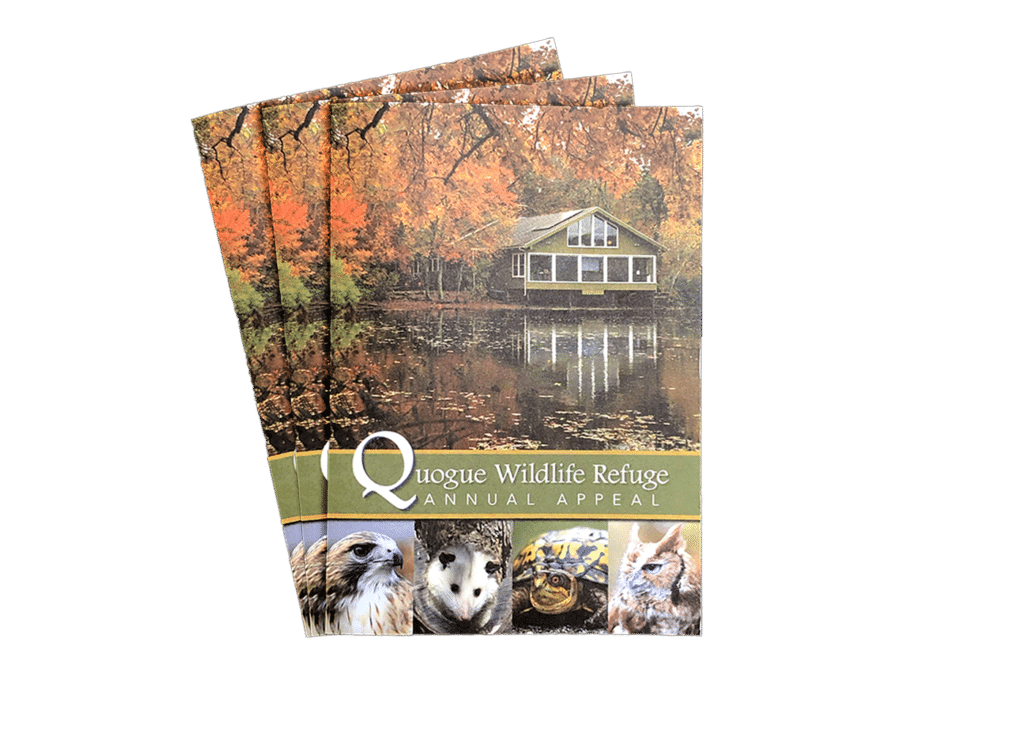 Quogue Wildlife Refuge Annual Appeal, 3 Covers